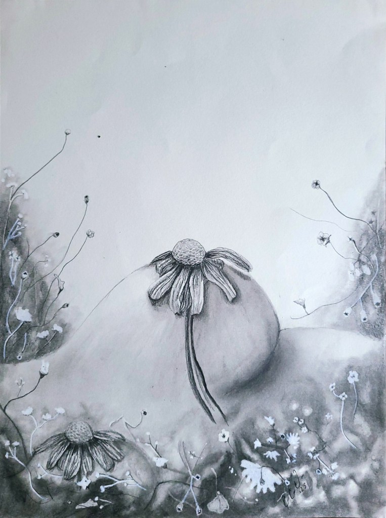 Pencil art of breast and chamomile